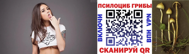 Галлюциногенные грибы мицелий  Апшеронск 